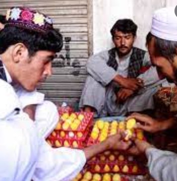 معارك البيض ـ أرشيفية معارك البيض ـ أرشيفية