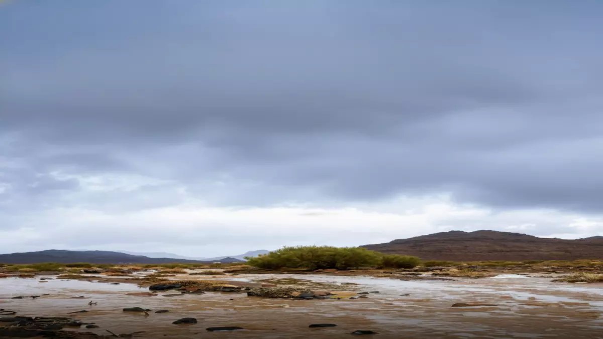 خريطة الأمطار: 9 مناطق تشهد "فيضان خير" خلال 24 ساعة... وتبوك تحطم الأرقام بـ40.2 ملم!