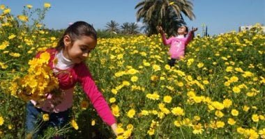 وداعًا فصل البرودة.. «الربيع» يبدأ اليوم رسميًا والنهار يتساوى مع الليل