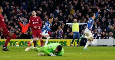 مواعيد مباريات اليوم.. برايتون مع ليفربول.. والأهلى أمام الترجى