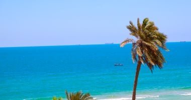 الطقس غدا.. دافئ نهارا بارد ليلا وأمطار ببعض المناطق