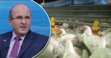 دليل الاستفادة من تمويل الثروة الحيوانية عبر البنوك.. الشروط وطريقة التقديم