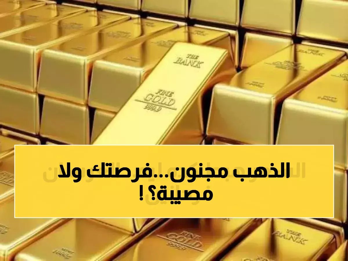  هل هذه فرصة ذهبية للاستثمار؟