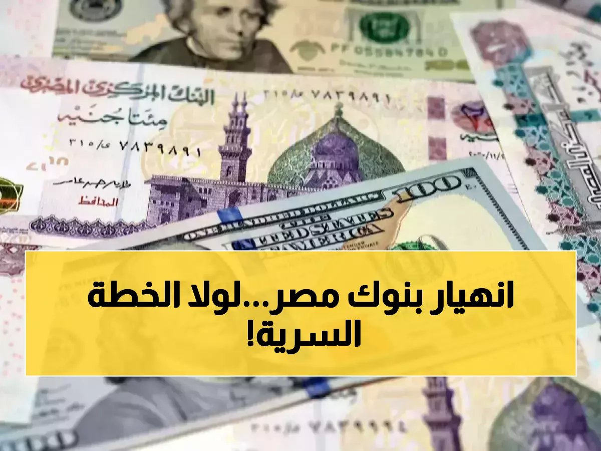ماذا كان سيفعل الأهلي ومصر وCIB والمركزي لو تركوا السوق يوماً واحداً؟ اكتشف الرقم 52.29، التوافق التاريخي الذي يثبت تضامن القلاع المالية الكبرى.