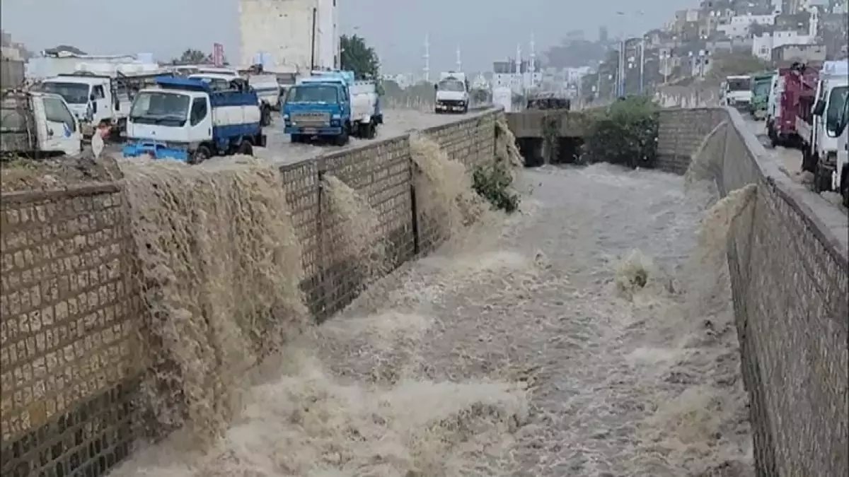 ما لم تره عيون العالم على أبين: سر صمودها خلال شهور من الجفاف انتهى بلحظة واحدة بقوة تحويلية ساحرة