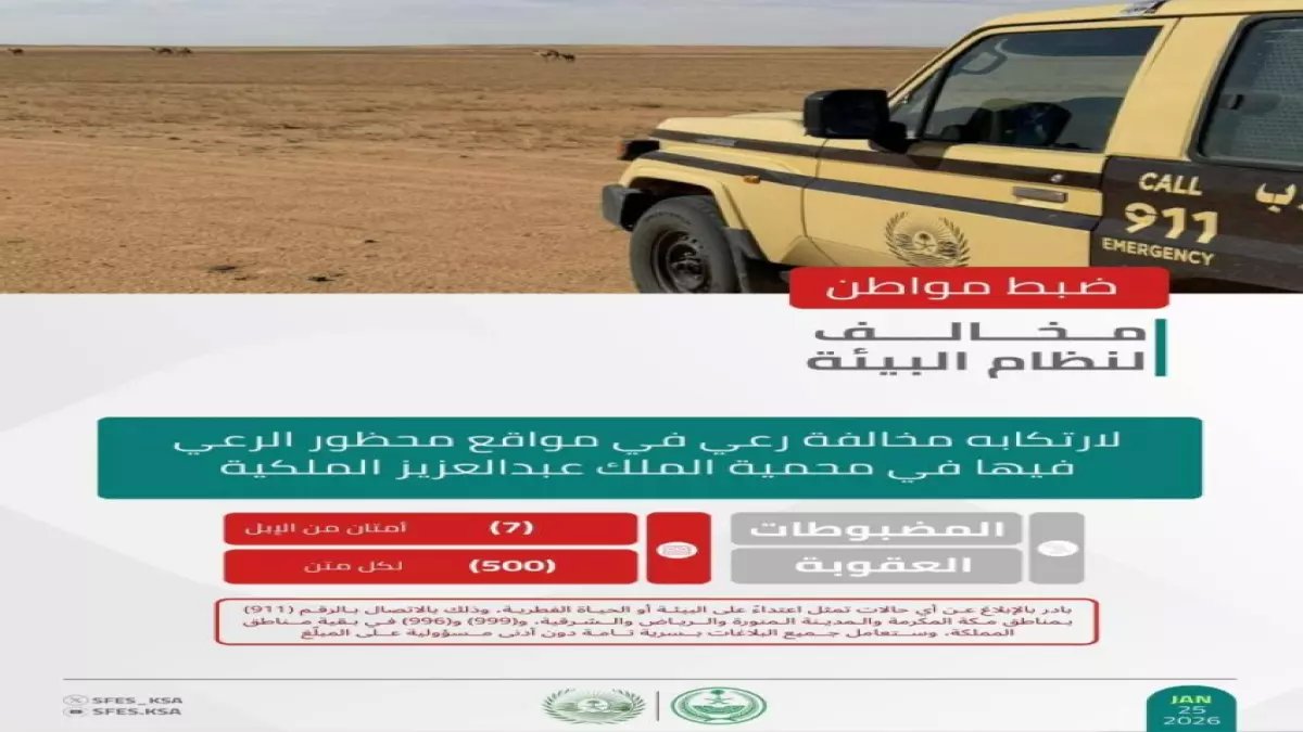 صادم: مواطن يدفع 25 ألف ريال غرامة بسبب 50 جمل في محمية الملك عبدالعزيز!