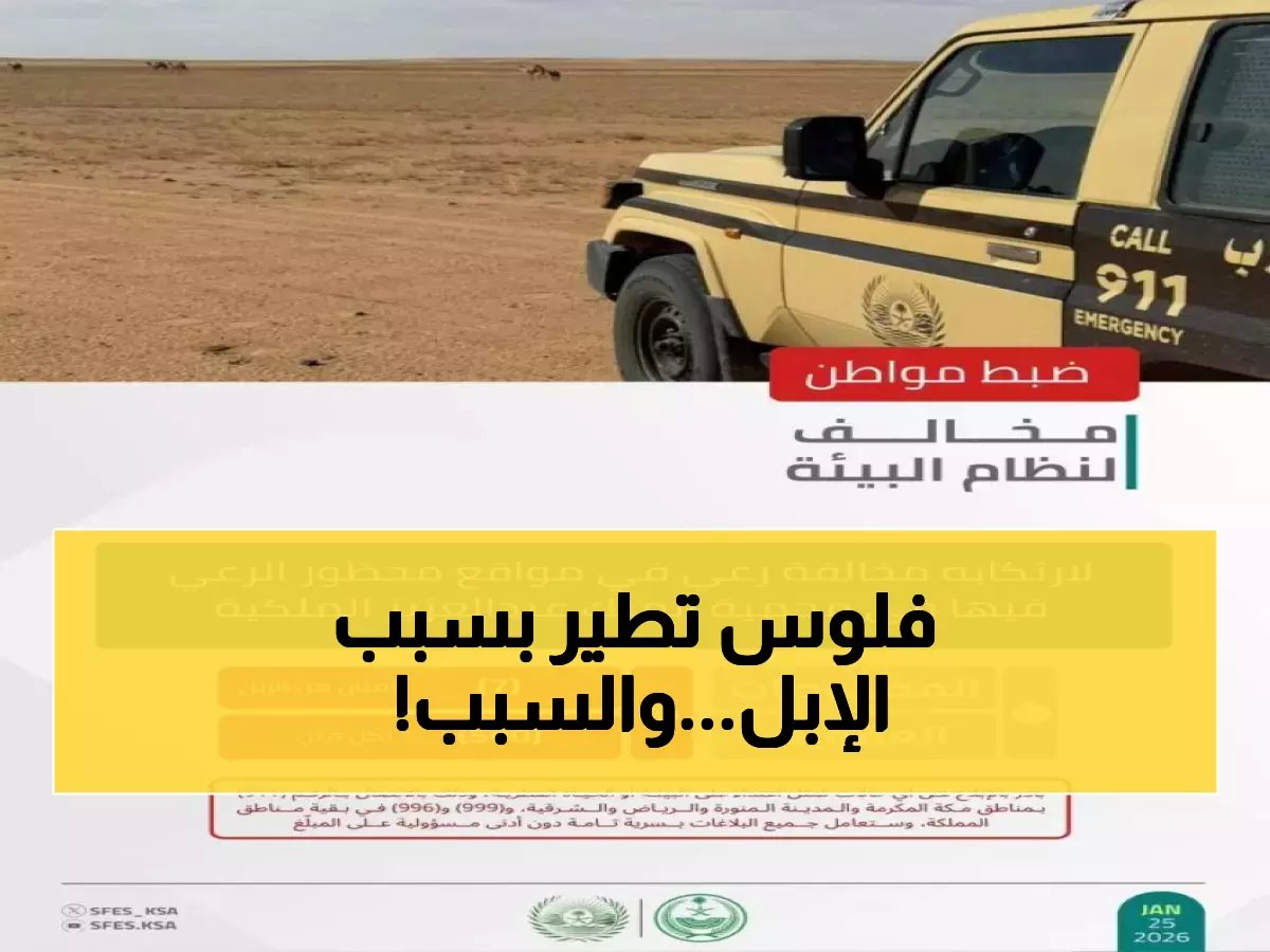  مواطن يدفع 25 ألف ريال غرامة بسبب 50 جمل في محمية الملك عبدالعزيز!