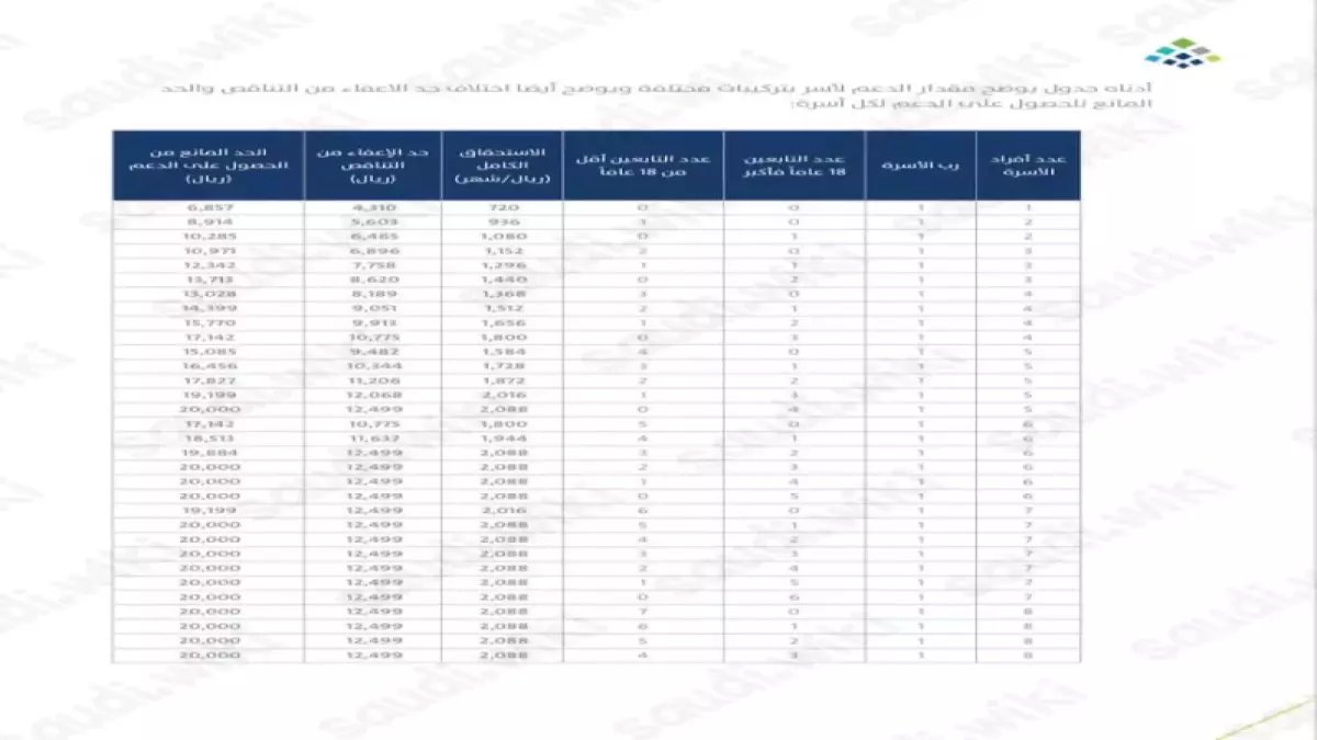 هل أسرتك من النوع الذي يُتوج بدعم حكومي؟.. البرنامج الحكومي يكشف: 10 أفراد هم معيار قوة التماسك الأسري السعودي