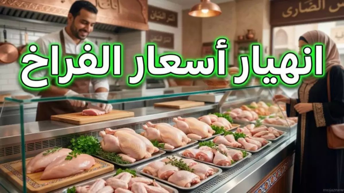 هل يعقل أن البانيه قرر إنهاء أزمة البروتين؟.. الرقم الصادم 240 جنيهاً يغير قواعد اللعبة
