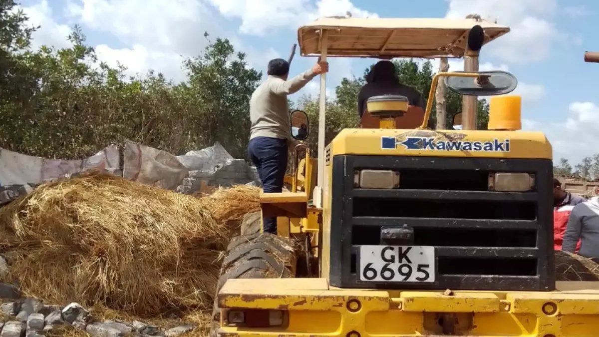 عاجل: حملة واسعة تزيل 1400 متر مباني مخالفة بالدقهلية… محافظ يوجه ضربة قوية للمتعدين!