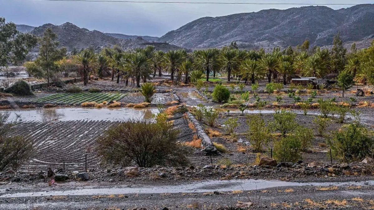 شاهد: البَرَد يحول الباحة لجنة ربيعية خلال ساعات... والزوار يتوافدون بالآلاف!