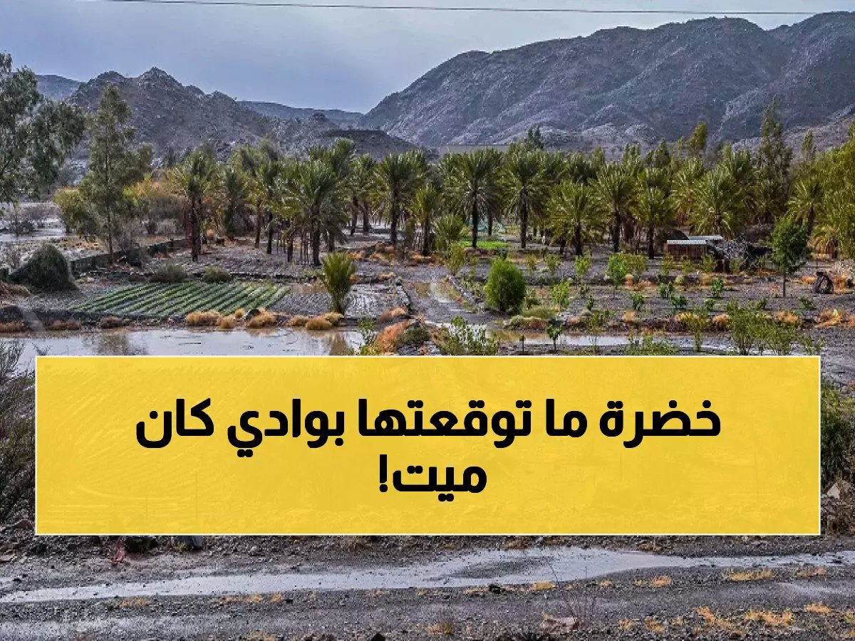  الأمطار تُحيي "وادي الحمدة" من الموت... تحول سحري يجذب آلاف السياح للباحة!