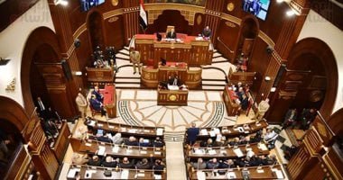 مجلس الشيوخ يؤكد دعمه الكامل لتحركات الدولة فى ظل التحديات الإقليمية ويشيد بجهود القيادة السياسية