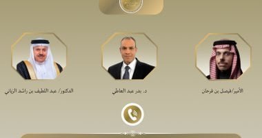 وزير الخارجية يؤكد لنظيريه السعودى والبحرينى تضامن مصر الكامل مع دول الخليج