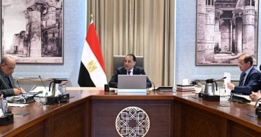 اللجنة الاستشارية للشئون السياسية تشيد بسياسة مصر الخارجية والتحركات التى يقودها الرئيس