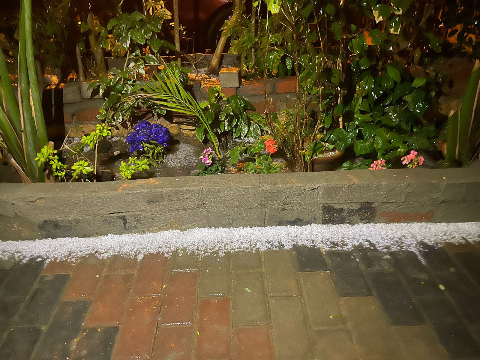 سقوط حبات البرد