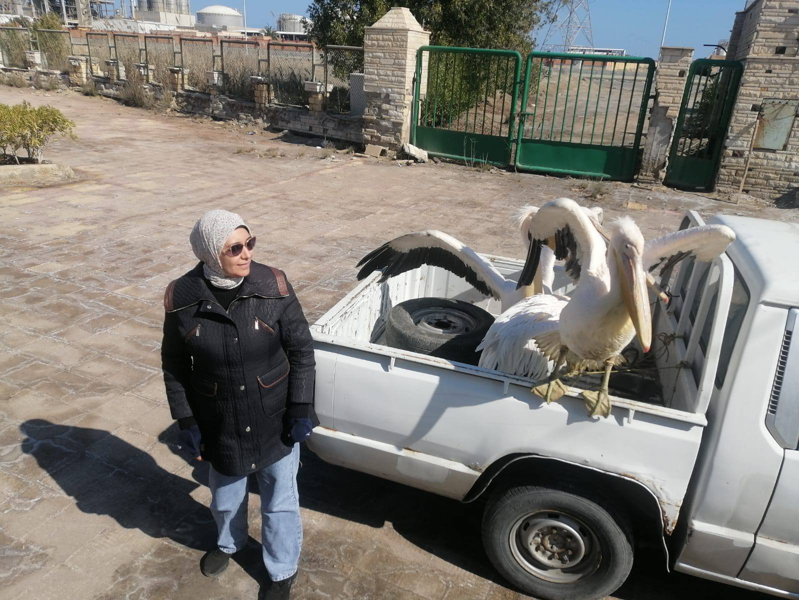 بعد عملية مصادرة البجع