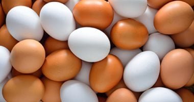 التموين تطرح بيض المائدة بمنافذ المجمعات الاستهلاكية بـ130 جنيها للطبق