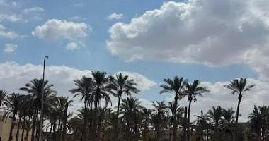 الطقس غدا.. تحسن فى الأحوال الجوية وشبورة وسحب منخفضة على بعض المناطق
