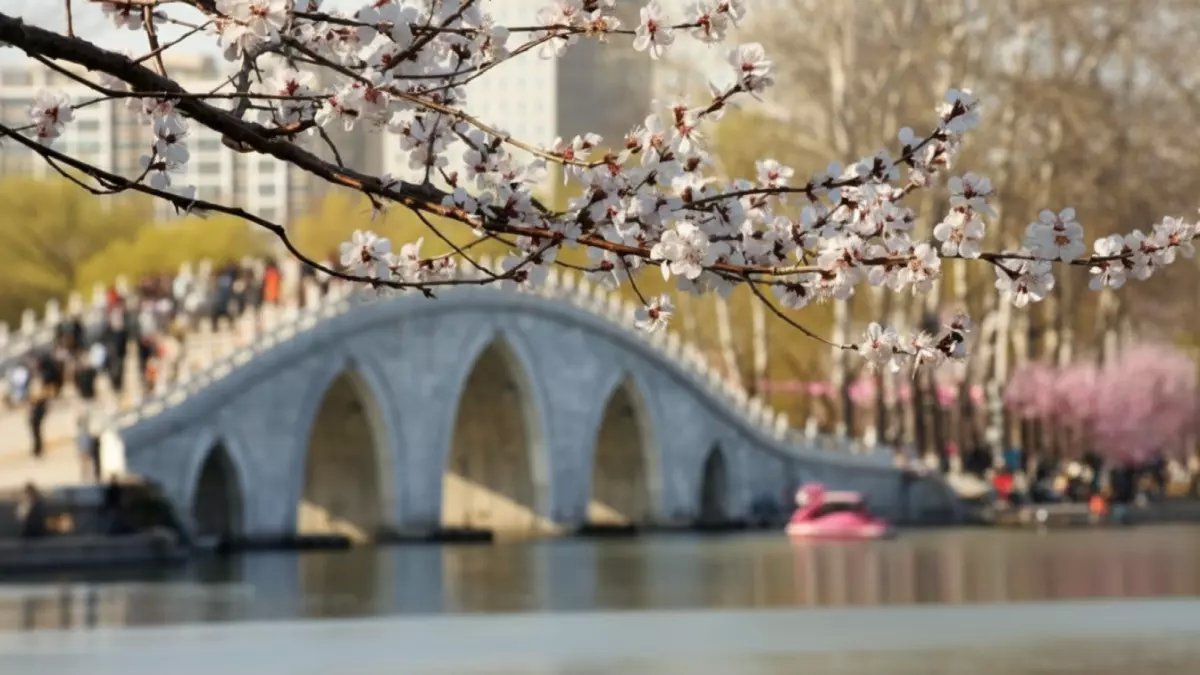 عاجل: إيران تدمر طائرات أمريكية في السعودية... هل تندلع الحرب الشاملة؟