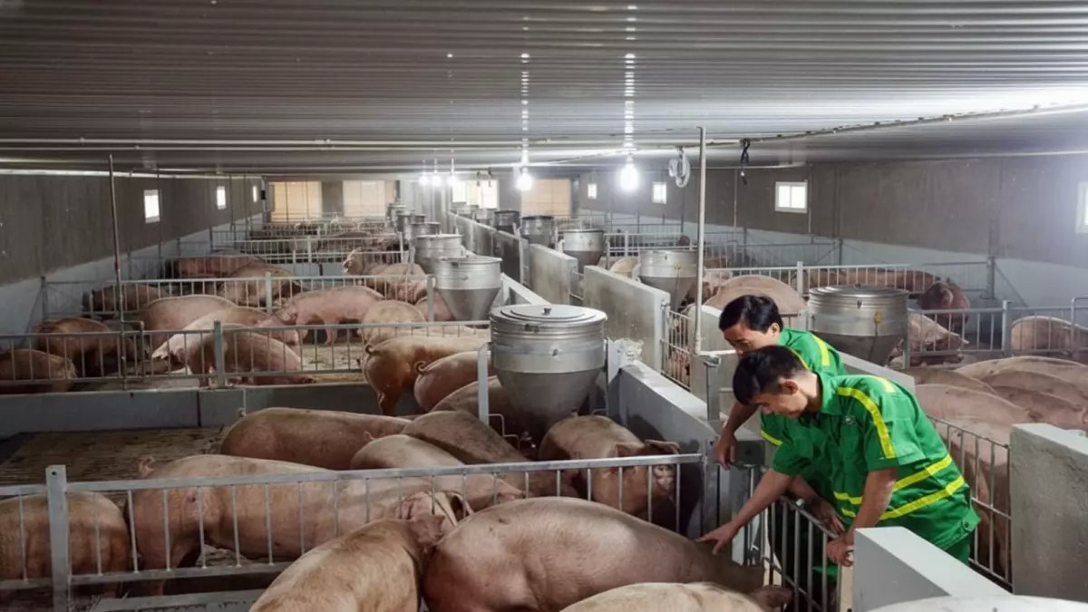 عاجل: ثورة تقنية تاريخية في الثروة الحيوانية... 650 خبيراً يكشفون مستقبل الطب البيطري حتى 2030!