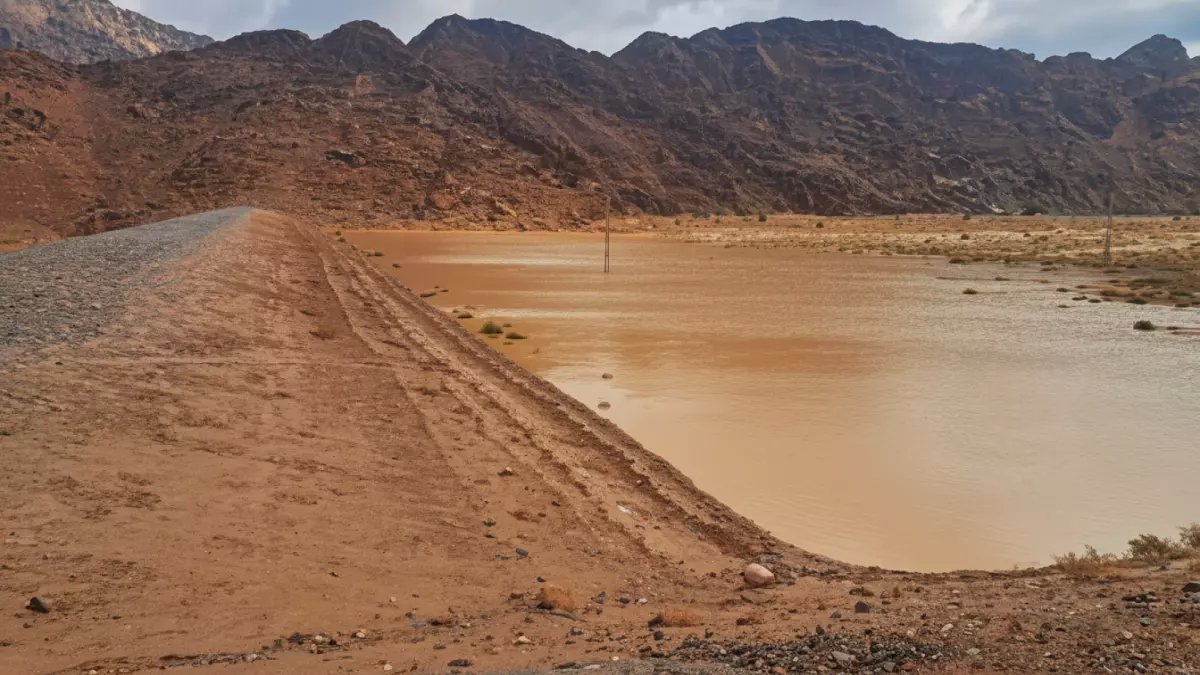 عاجل: انفجار أسعار الأسمدة بنسبة 3.6% خلال يوم واحد... والحكومة تعلن زيادة صادمة 21 جنيهاً!