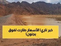  انفجار أسعار الأسمدة بنسبة 3.6% خلال يوم واحد... والحكومة تعلن زيادة صادمة 21 جنيهاً!