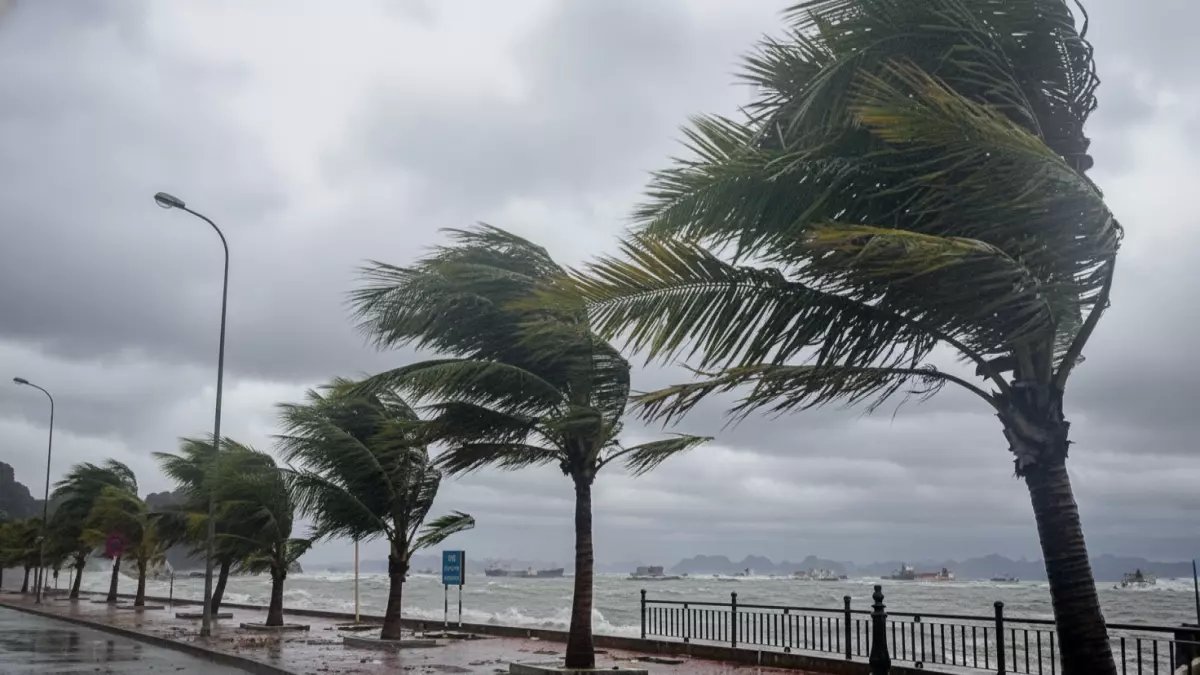 شاهد: مشاهد خيالية لوادي الفرع بالمدينة المنورة بعد هطول 59.6 ملم من أمطار الخير!