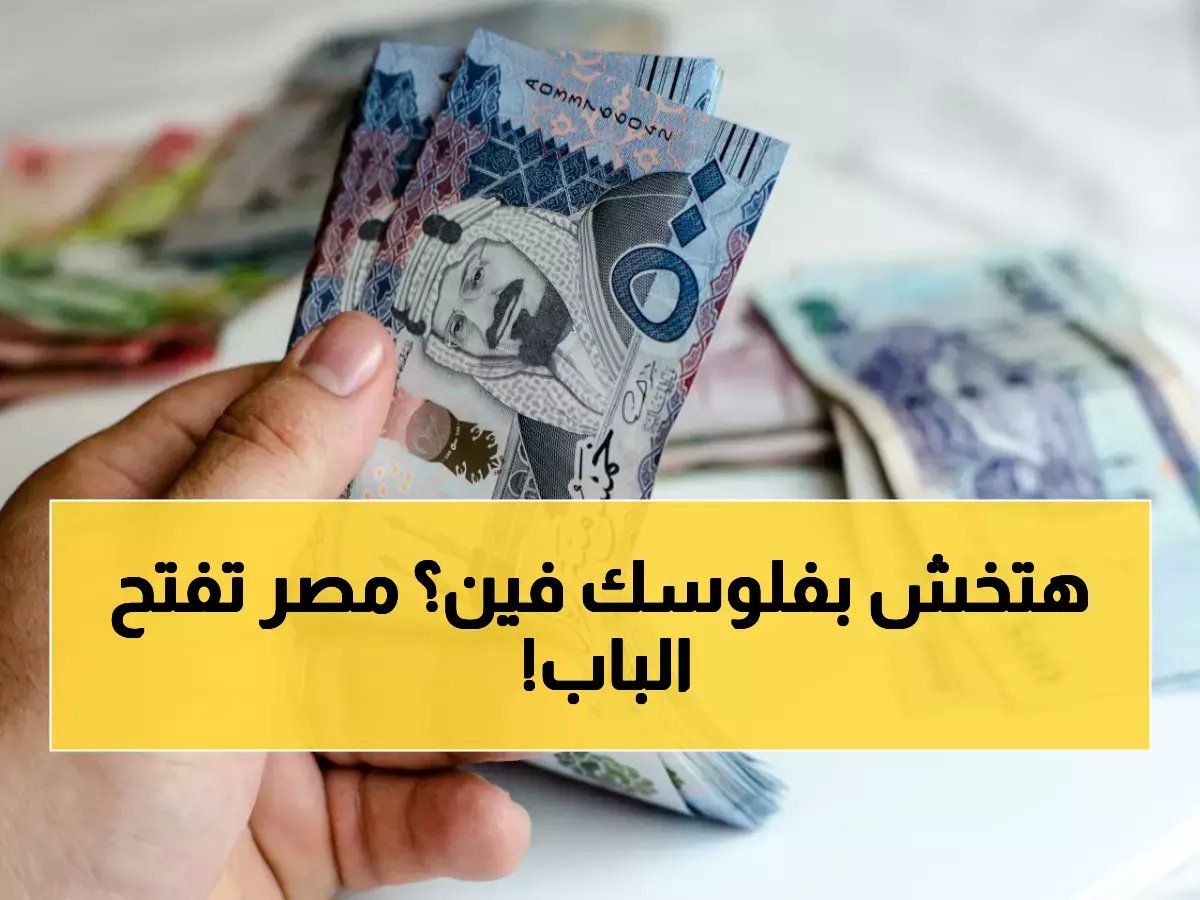 خريطة الاستثمار 2025: القطاعات المصرية الأكثر جذباً لرؤوس الأموال السعودية — دليلك للبدء