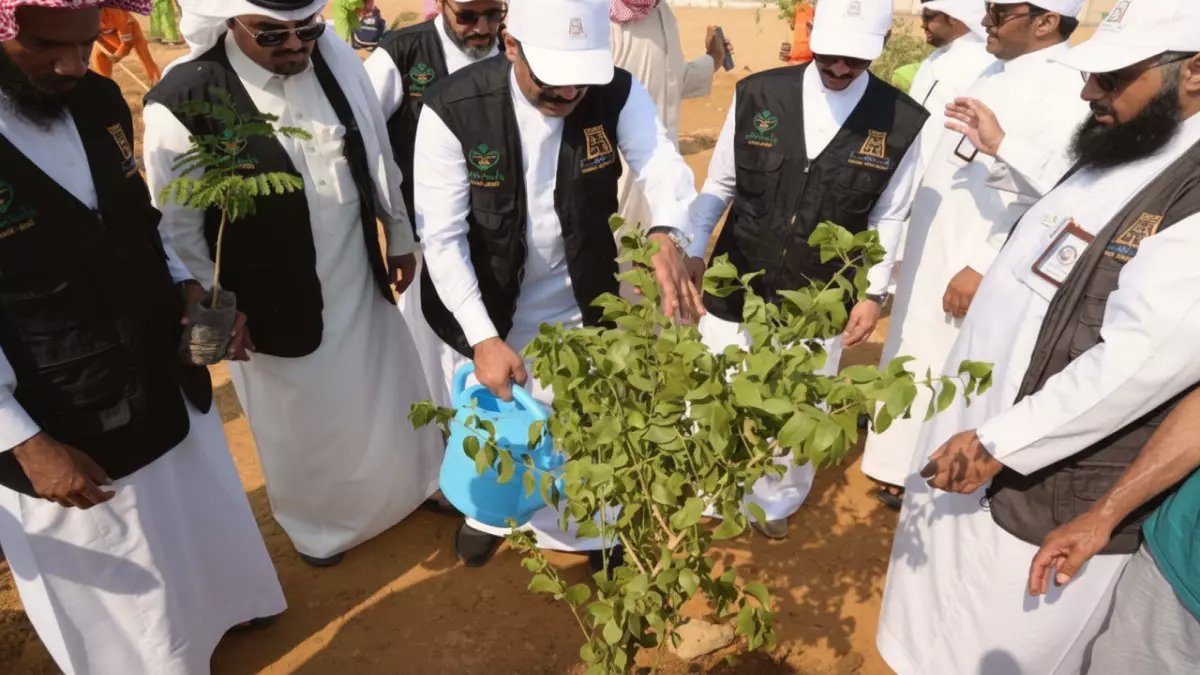 عاجل: الباحة تطلق مشروع التشجير الأضخم - 100 ألف شجرة تغير وجه المنطقة!