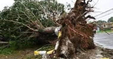 إعصار ناريلي يضرب أستراليا ويعطل إنتاج الغاز الطبيعي المسال في عدد من المنشآت