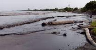 جمع 700 طن ملوثات بعد تسرب نفطي.. كارثة بيئية بخليج المكسيك