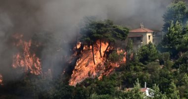 حرائق الغابات فى أوروبا.. عام 2025 كان الأسوأ والمفوضية الأوروبية تتخذ إجراءات إضافية للحد منها