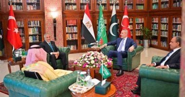 بدر عبد العاطى يشارك بالاجتماع الرباعى مع وزراء خارجية باكستان وتركيا والسعودية