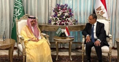 وزير الخارجية يبحث مع نظيره السعودى جهود التهدئة الإقليمية وتغليب المسار الدبلوماسى
