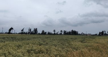 هيئة الأرصاد: تكاثر السحب الرعدية الممطرة على مناطق من جنوب سيناء