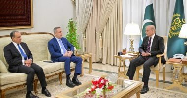 رئيس الوزراء الباكستاني يستقبل وزيرى الخارجية المصرى والتركي لخفض التصعيد