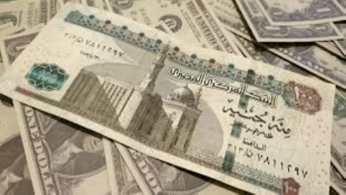 عاجل: الريال السعودي يقفز لأعلى مستوى في شهور أمام الجنيه... البنوك تسجل 14.21 جنيه!