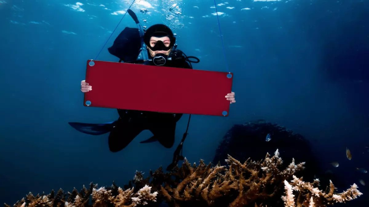 عاجل: نيوم تكشف سراً صناعياً ضخماً... مركز سيغير وجه التكنولوجيا العالمية خلال سنوات!