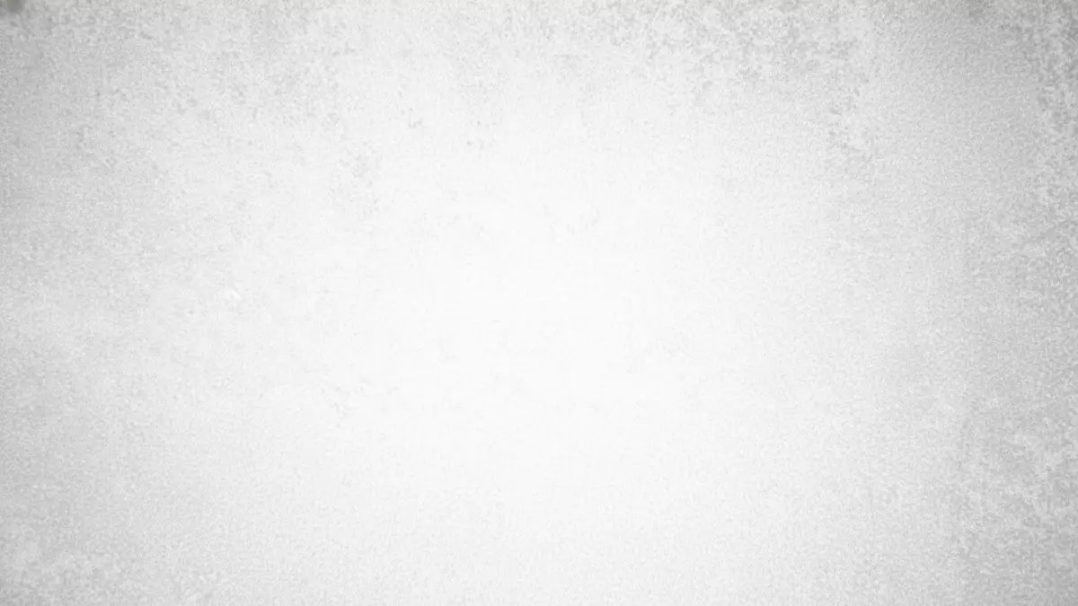 عاجل: وزير المالية يعلن "سند المواطن" بعائد خرافي 17.7% شهرياً - فرصة ذهبية قبل نفاد الكمية!