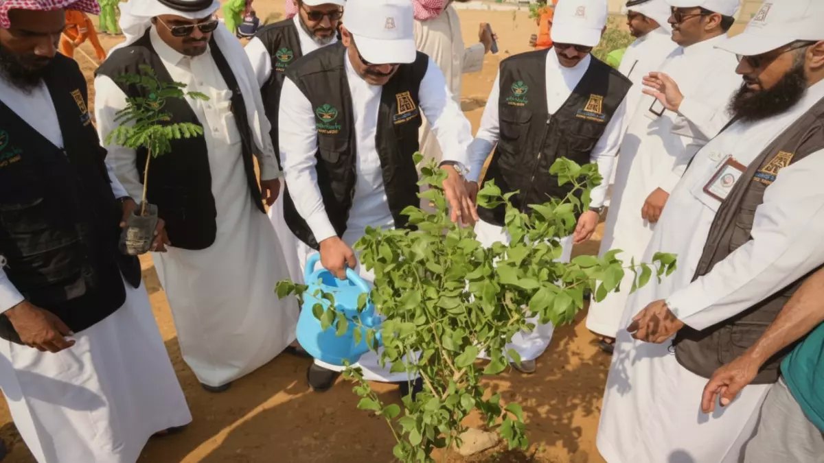 عاجل: الباحة تطلق مشروع التشجير الأضخم في تاريخها - 100 ألف شجرة تحول المنطقة لواحة خضراء!