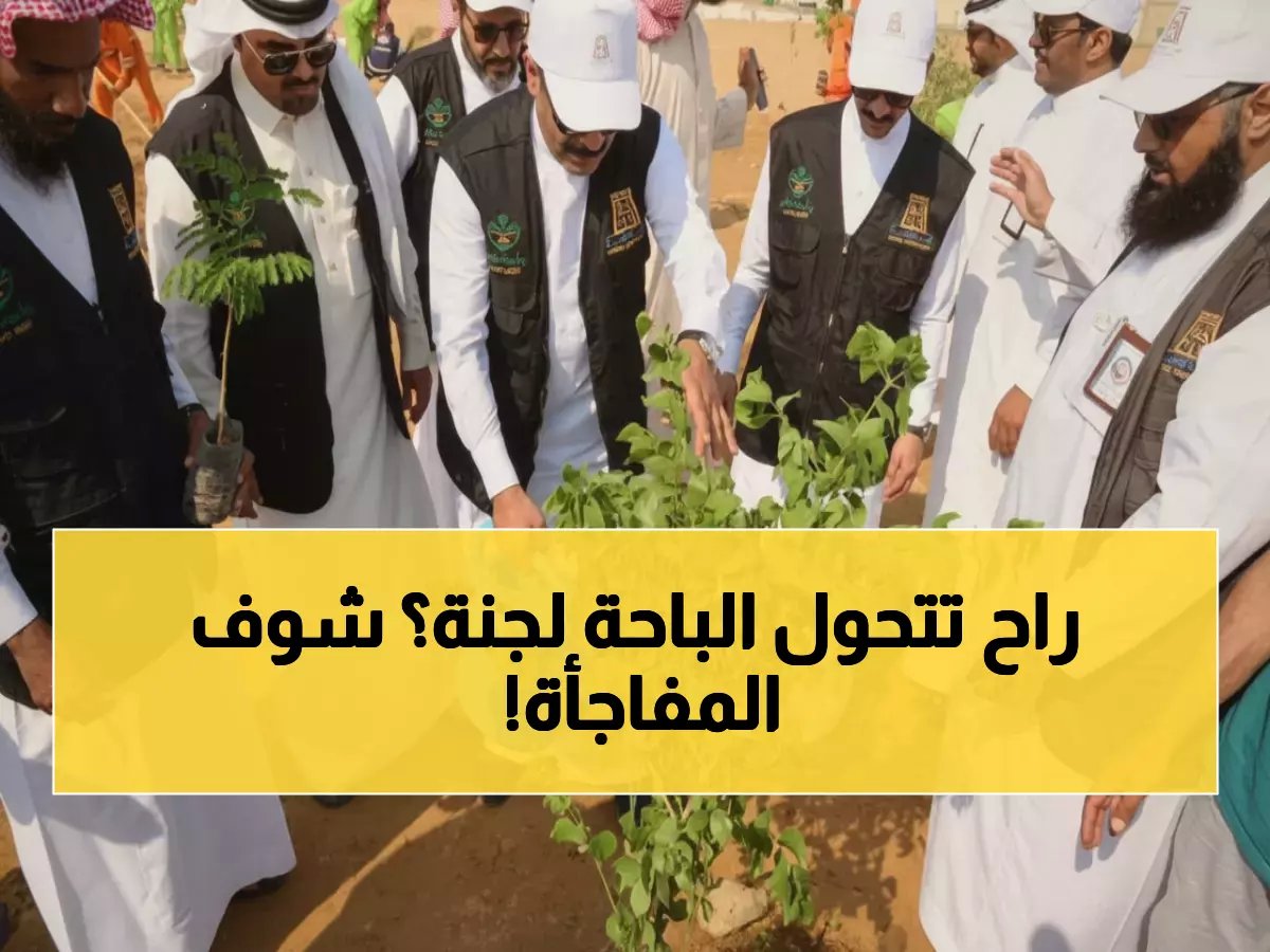  الباحة تطلق مشروع التشجير الأضخم في تاريخها - 100 ألف شجرة تحول المنطقة لواحة خضراء!