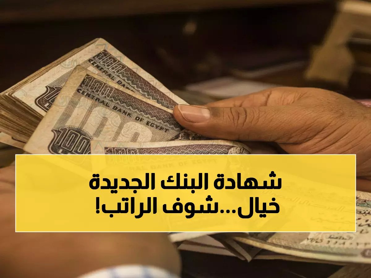  بنك ناصر يطلق "شهادة سند"… استثمر 200 ألف جنيه واحصل على راتب شهري يصل لـ 12 ألف جنيه!