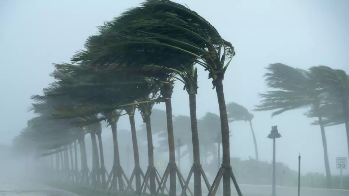 عاجل: عواصف رعدية تضرب 7 مناطق بالمملكة خلال ساعات... رياح مدمرة تصل لـ55 كم/ساعة!