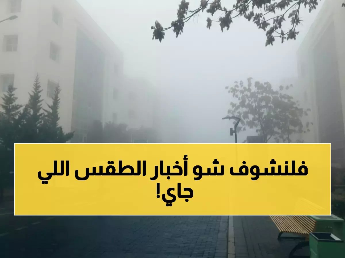  موجة برد قطبية تضرب السعودية اليوم... هل أنت مستعد؟