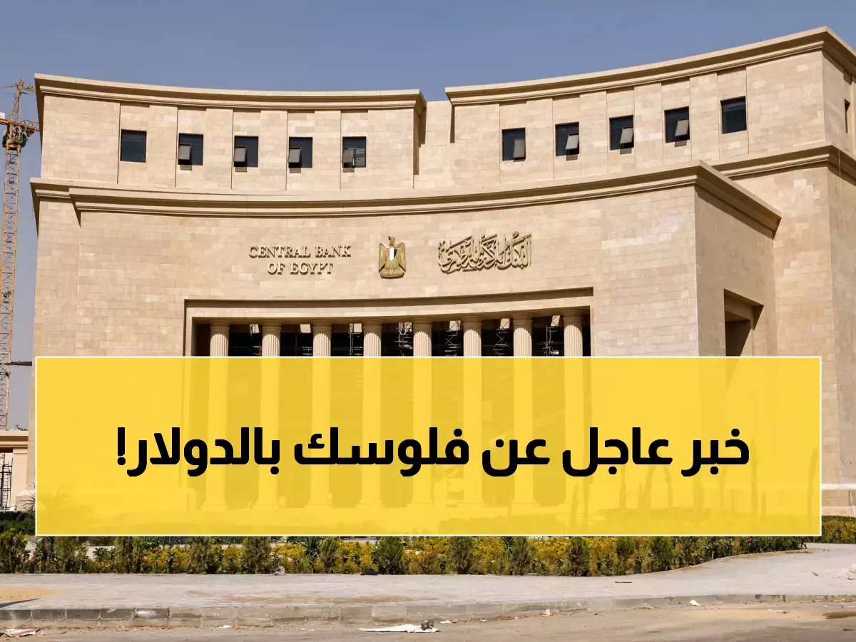 تحذير.. قبل تحويل أموالك اعرف السعر الرسمي للدولار من البنك المركزي الآن