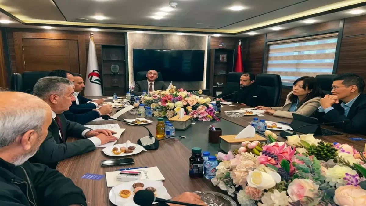 عاجل: قرار جديد يرفع أسعار السيارات الكورية 5000 دينار... جلسة سرية في المناطق الحرة للخروج من الأزمة!