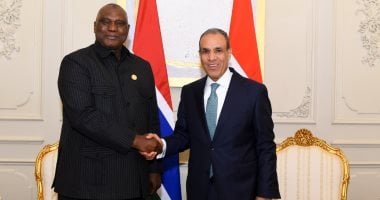 وزير الخارجية يبحث مع نظيره الجامبى تعزيز التعاون وتكثيف التنسيق المشترك
