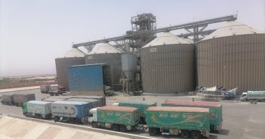 وزارة التموين تعلن بدء توريد القمح المحلى 15 أبريل بسعر 2350 جنيها للأردب