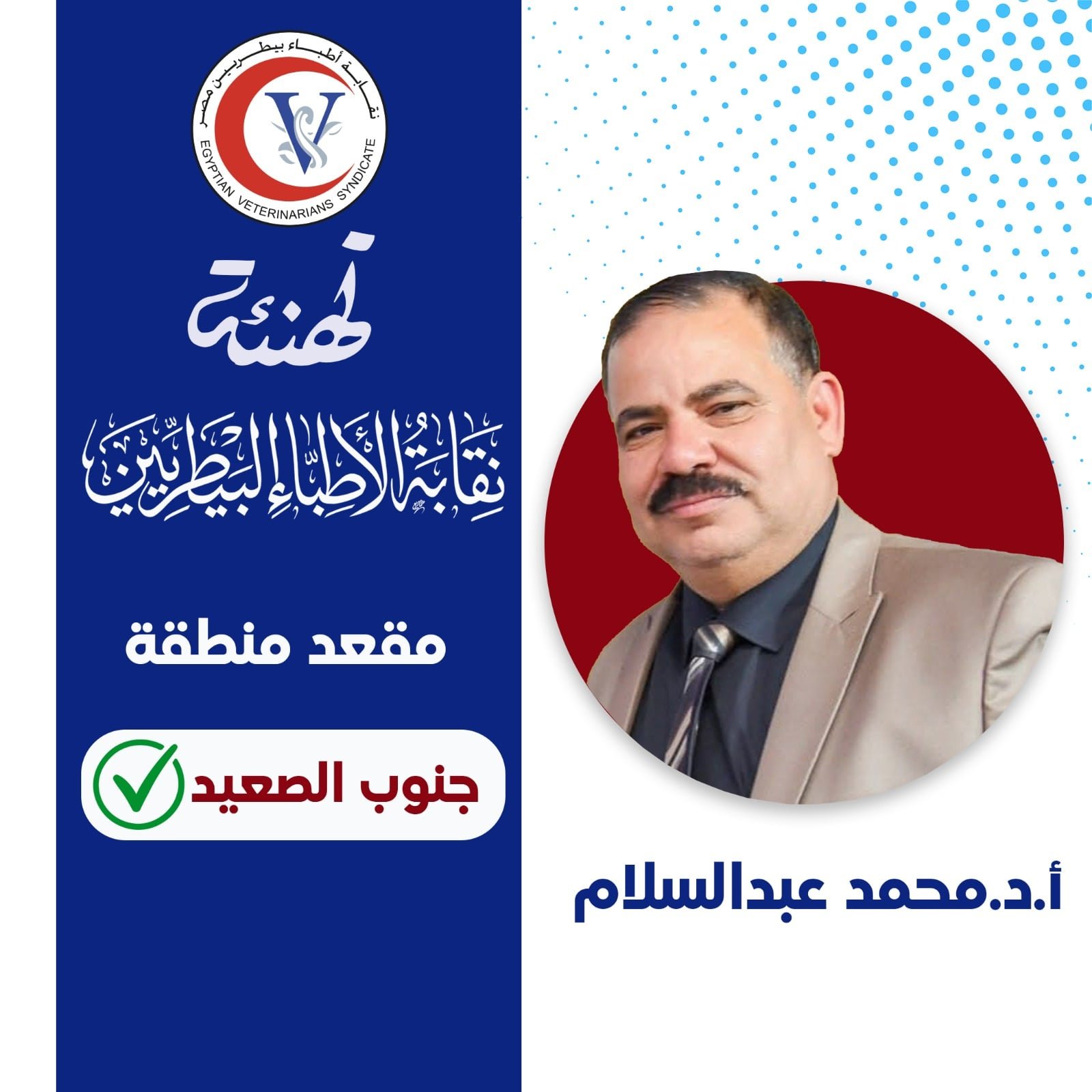 الأستاذ الدكتور محمد الدسوقى